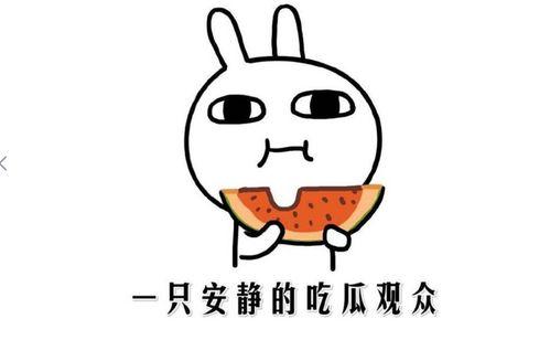 娱乐吃瓜酱相处方式,轻松相处的快乐秘籍